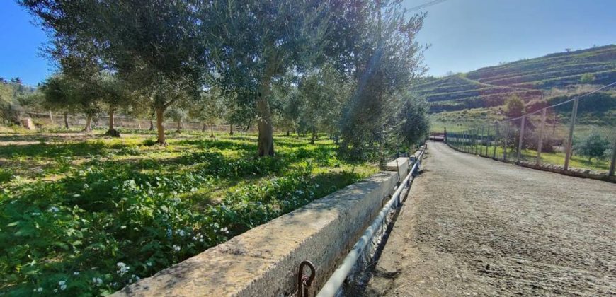 Villa in posizione panoramica