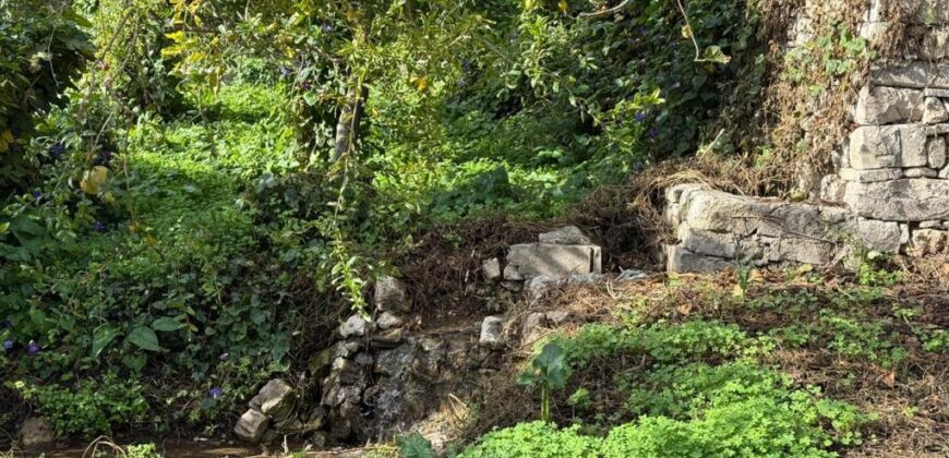 Casa con giardino in Vendita a Ragusa